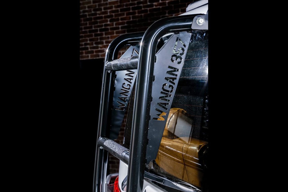 画像3: リアラダー (3)