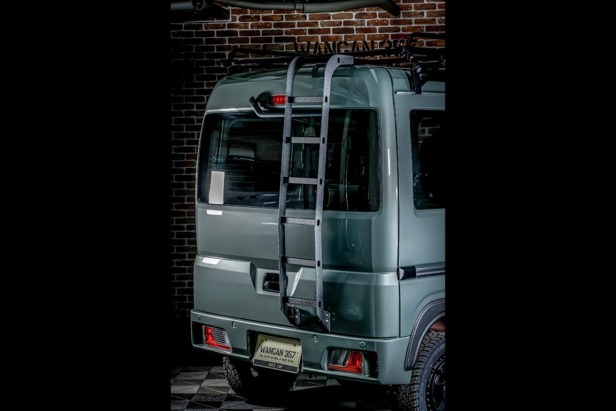 画像2: リアラダー ラプター塗装　 (2)