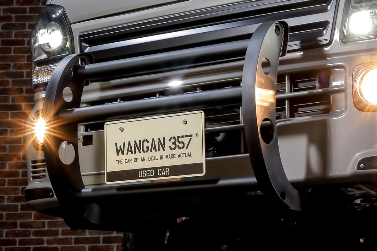 画像7: ワイルドプッシュバー (7)