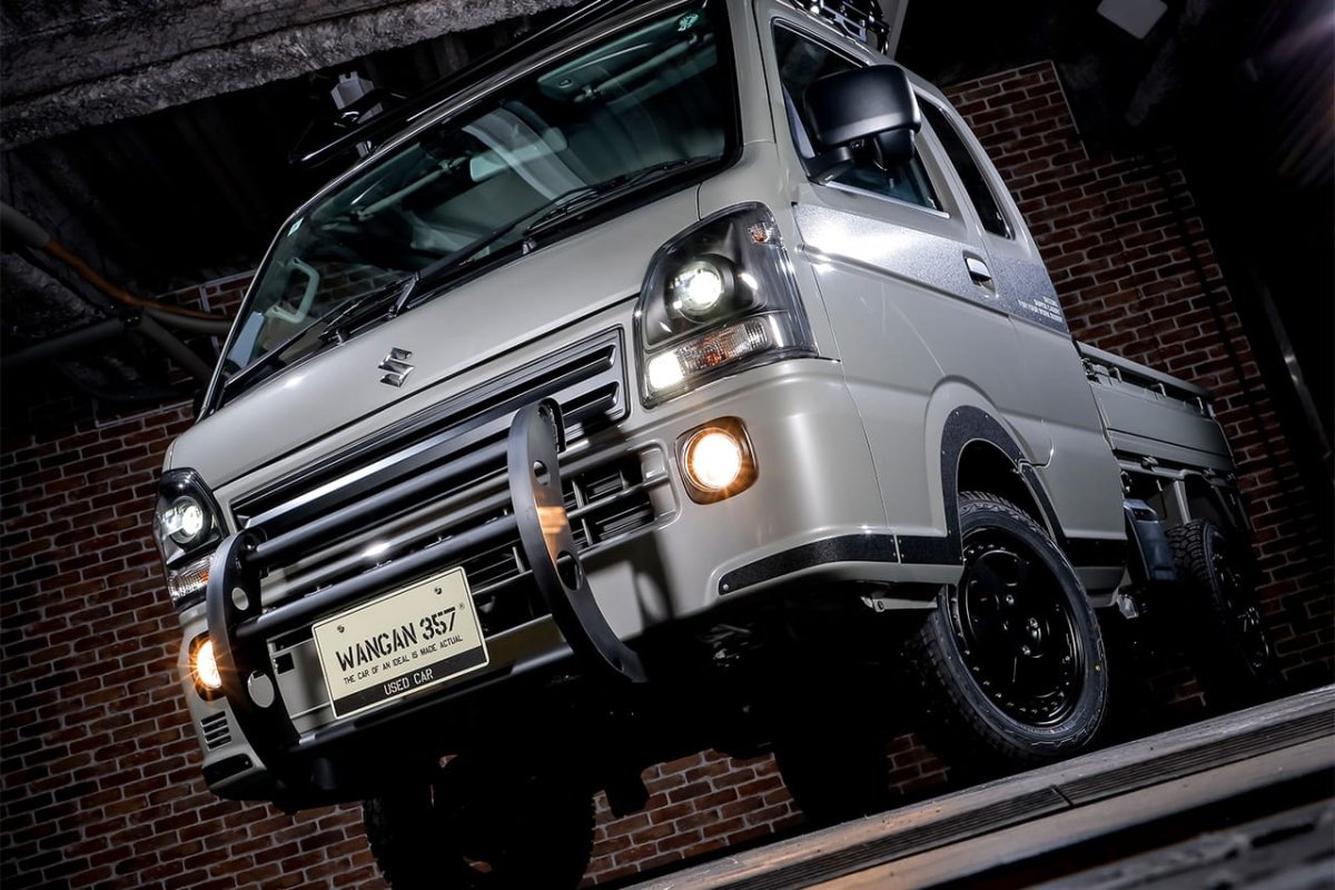 画像9: ワイルドプッシュバー (9)