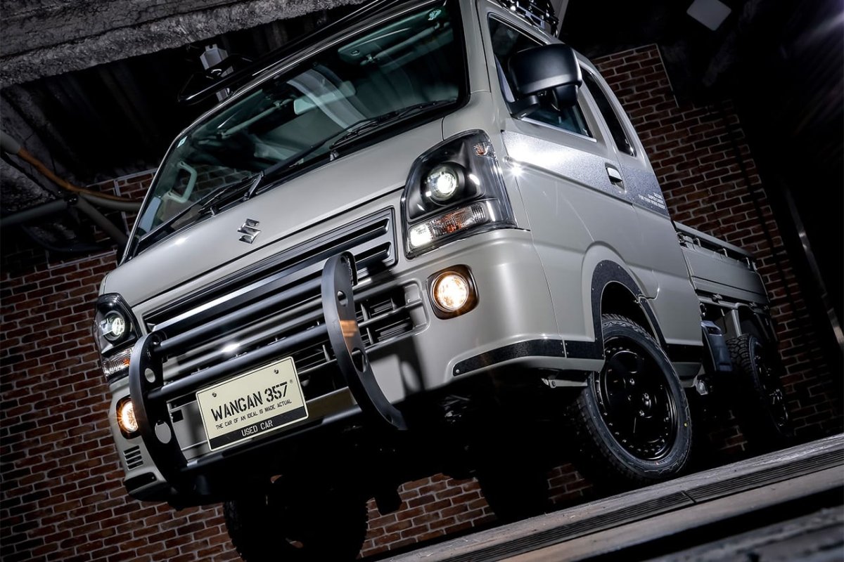 画像10: ワイルドプッシュバー (10)